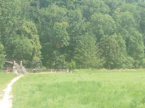 Auelandschaft Rosengarten