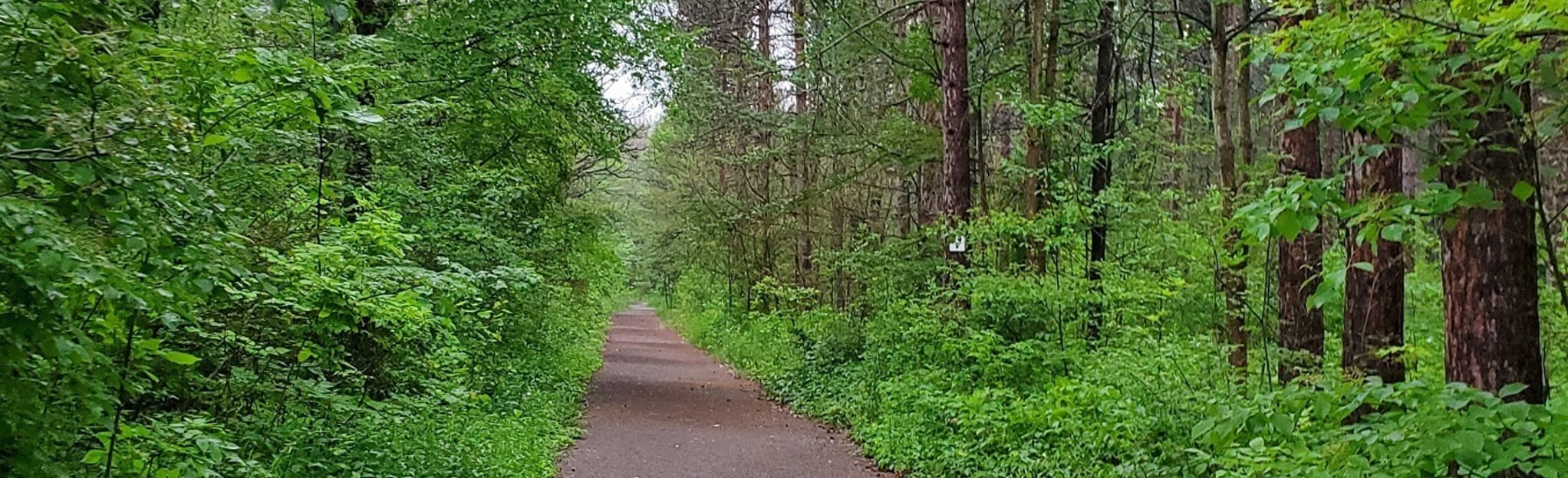 Beagle Club Red Loop 62 Reviews, Map Ontario, Canada AllTrails