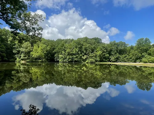 Best Hikes and Trails in Finch Park | AllTrails