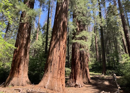 Merced grove outlet trail