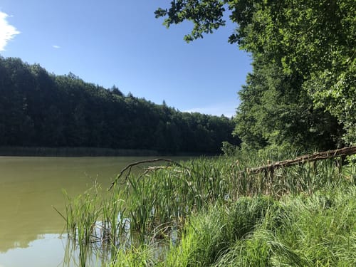 Runde um den Ihlandsee