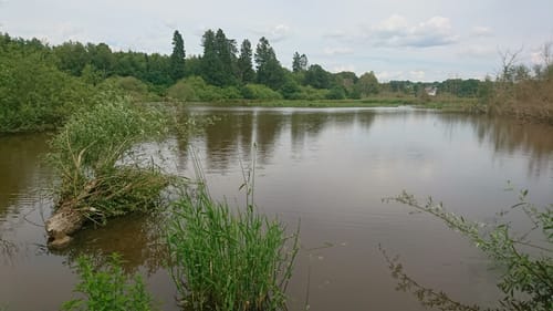 Saynbach-Radrundweg