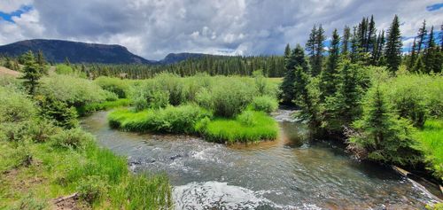 Best 10 Hikes and Trails in Rio Grande National Forest, Divide Ranger ...