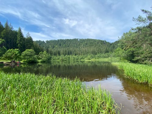 Seensteig Etappe 1: Baiersbronn - Mitteltal