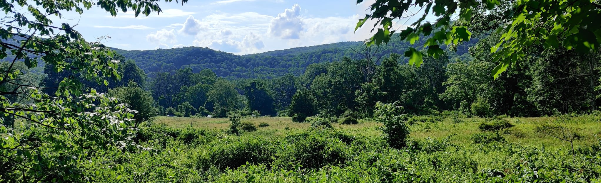 Island Pond and Lemon Squeezer via Appalachian Trail 2.003 Fotos New