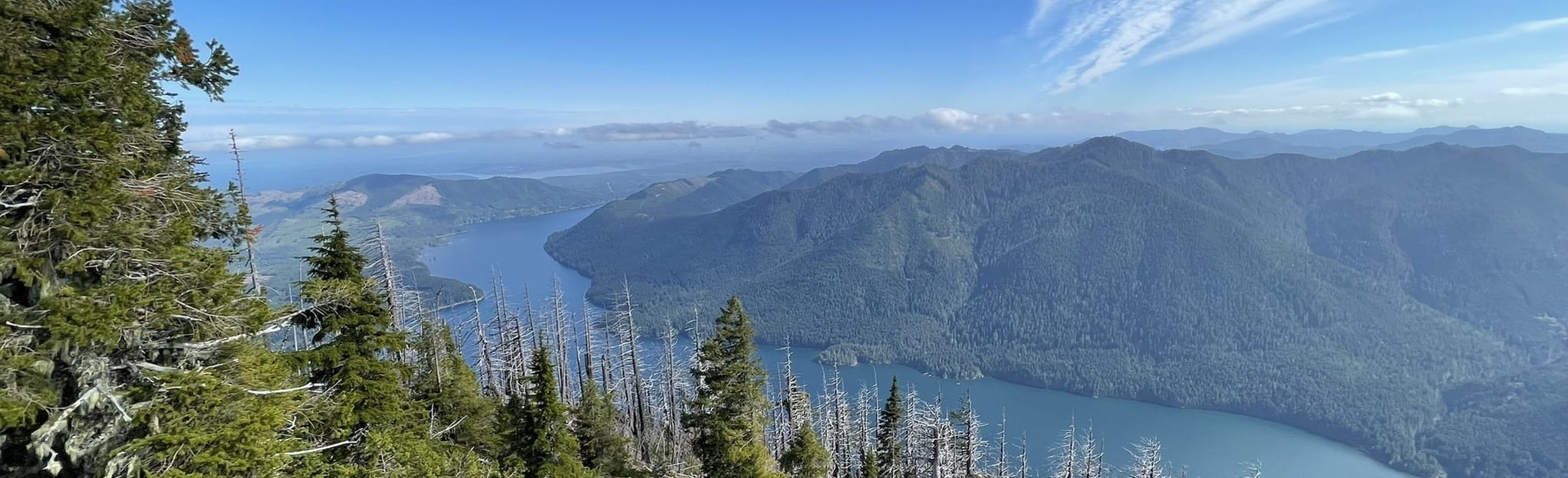 Mount Rose Trail, Washington - 1,376 Reviews, Map | AllTrails