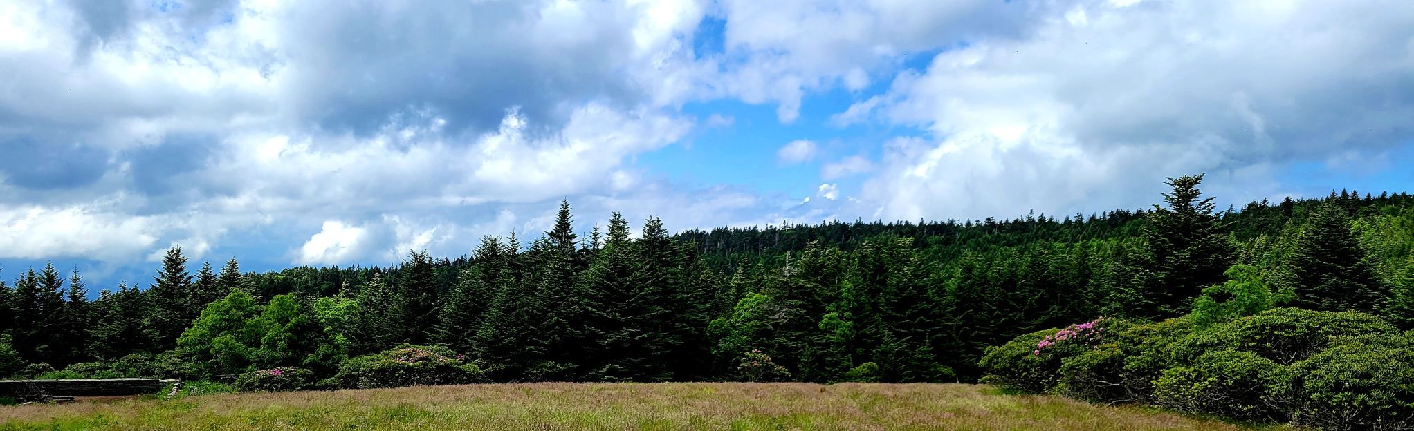 Carvers Gap to Roan High Bluff via Appalachian Trail, North Carolina ...