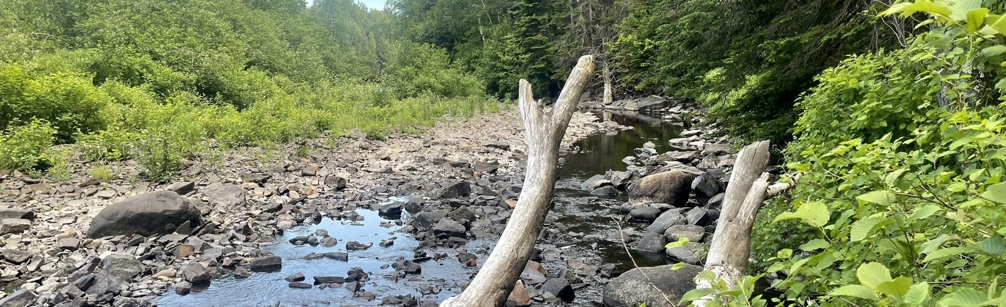 Centennial Park Loop Ontario, Canada AllTrails
