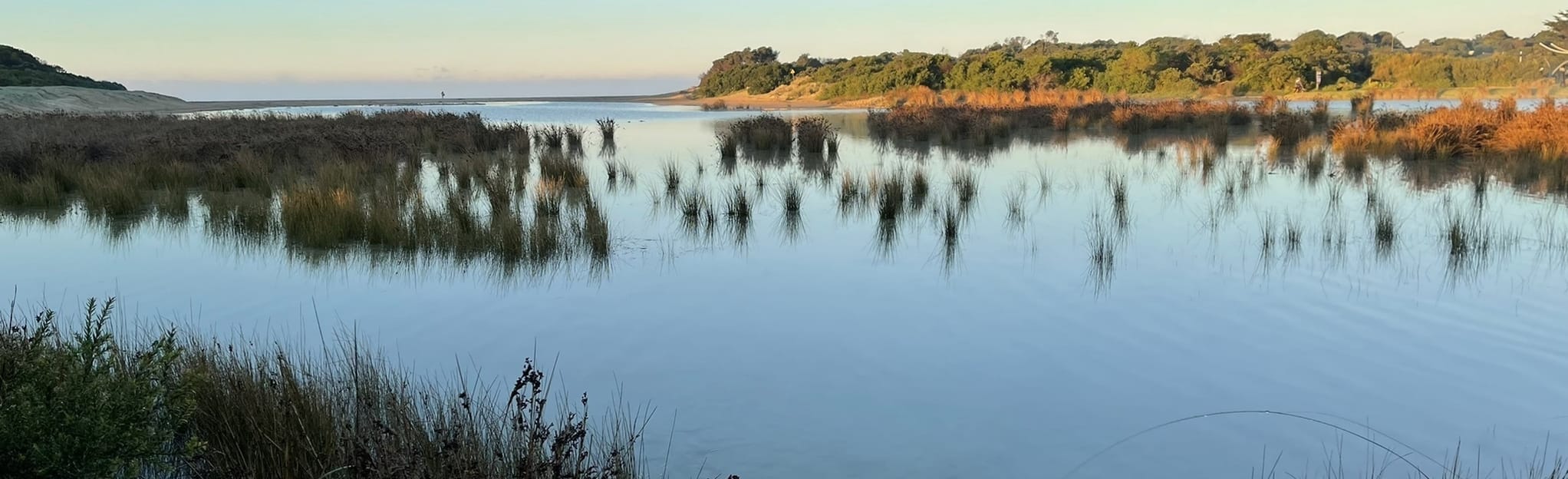 AllTrails Surf Coast Walk Anglesea Riverbanks 4 Reviews, Map