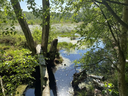 Himmelmoor Rundwanderung