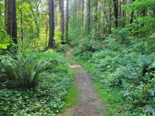 Best Hikes and Trails in Seaquest State Park | AllTrails