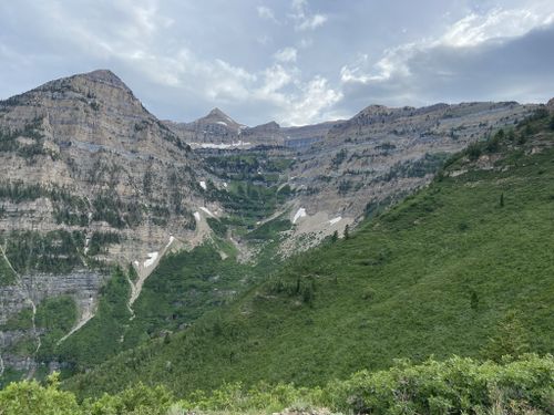 Exploring the Aspen Grove Hiking Route Known For Bird Watching