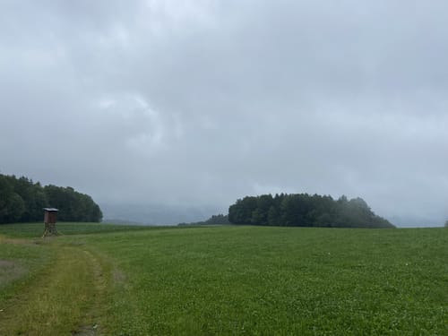 Hochwaldweg - Lallinger Winkel