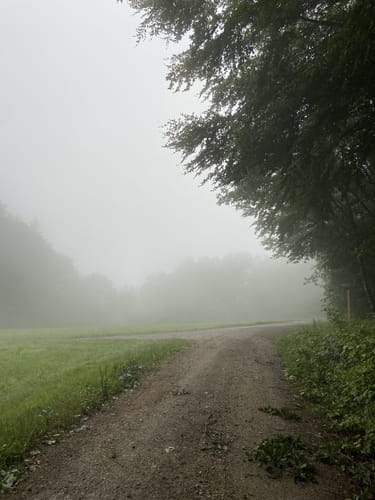 Hochwaldweg - Lallinger Winkel