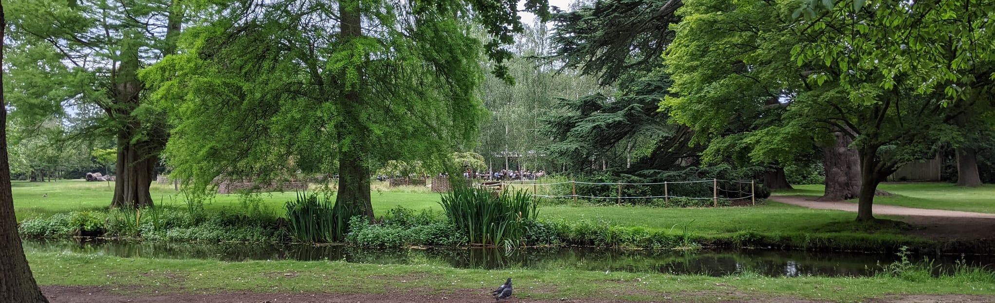 Bushy Park West Circular 4 Reviews, Map London, England AllTrails