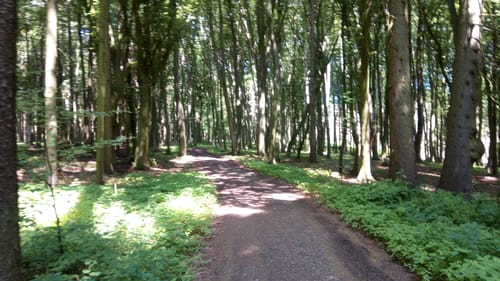 Wehdem Rundwanderweg A5