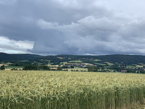 Goldkronach Rundwanderweg Nr. 4