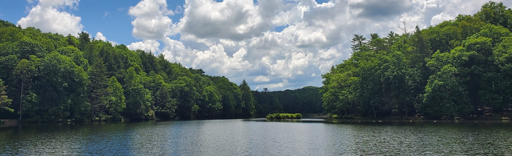 Little Beaver Lake Front Loop 115 Reviews, Map West Virginia AllTrails