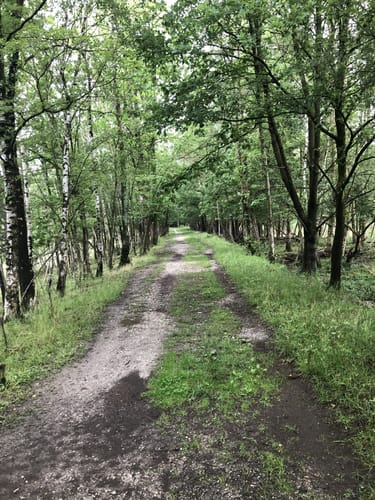 Schinveld - Bruine beek