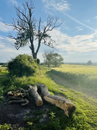 2023 Best Wild Flowers Trails in Market Harborough | AllTrails