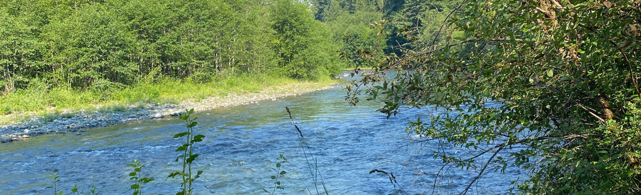 Oyster River Trail 60 Reviews, Map British Columbia, Canada AllTrails