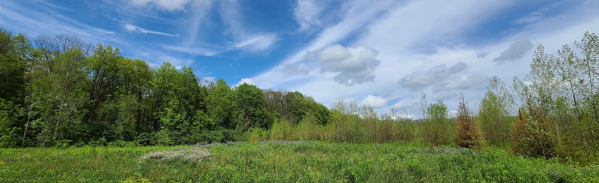 Jefferson Climb Fruity Loops Northern Run Old Farm Road, Ontario