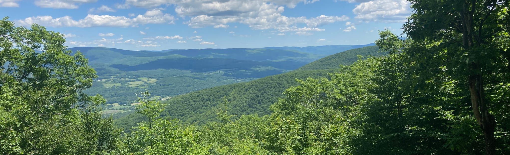 Prosser Hollow and Taconic Crest Trail, New York 13 Reviews, Map