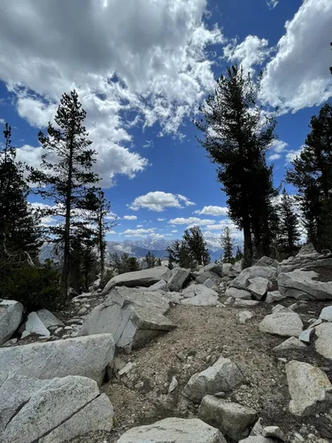 Kings canyon clearance national park backpacking