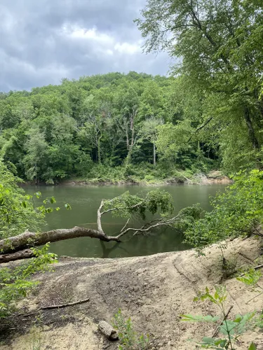 10 Best Hikes and Trails in Daniel Boone National Forest | AllTrails