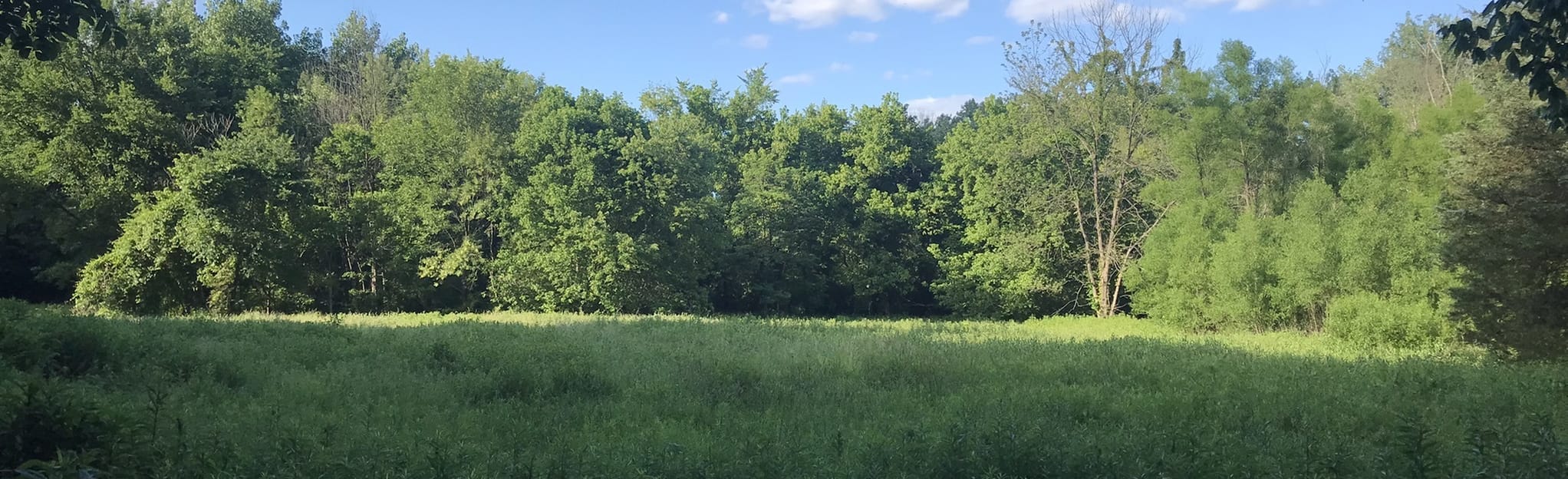 Pony Pasture Rapids Trails 1,058 Reviews, Map Virginia AllTrails