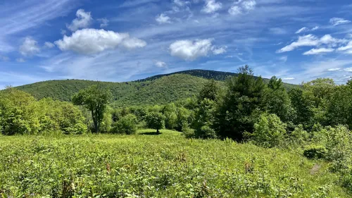 Best Hikes and Trails in Unaka Mountain Wilderness | AllTrails