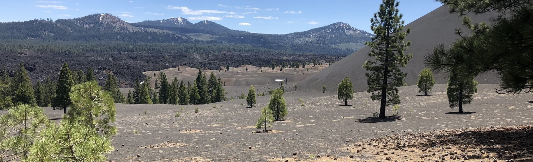 Emigrant and Snag Lake Trail Loop 17 Reviews, Map California