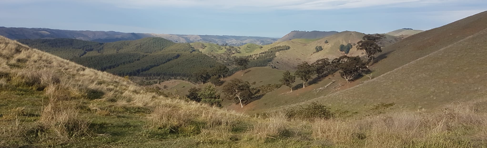 Three Sisters to Strath Creek via Homestead Hills [PRIVATE PROPERTY