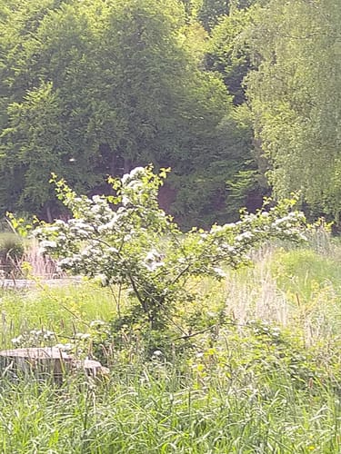 Donnebach-Rundweg 2