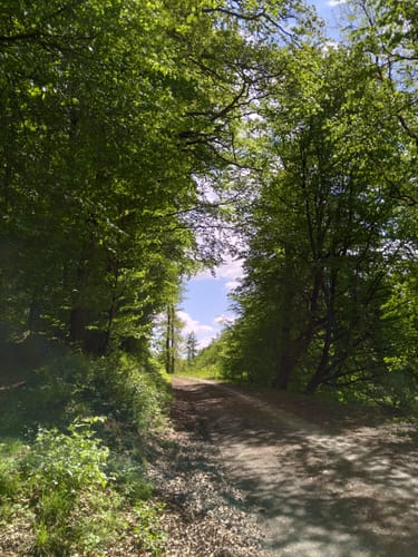 Donnebach-Rundweg 2