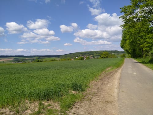 Donnebach-Rundweg 2