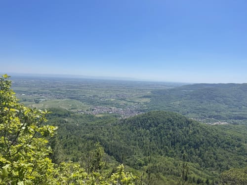 Durch das Hainbachtal zur Ruine Neuscharfeneck