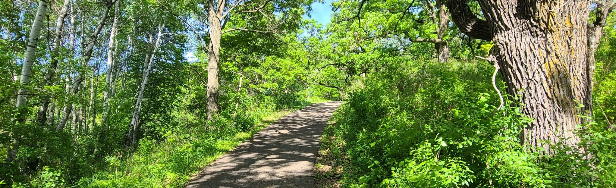 Kelleher Park Nature Loop 31 Reviews, Map Minnesota AllTrails