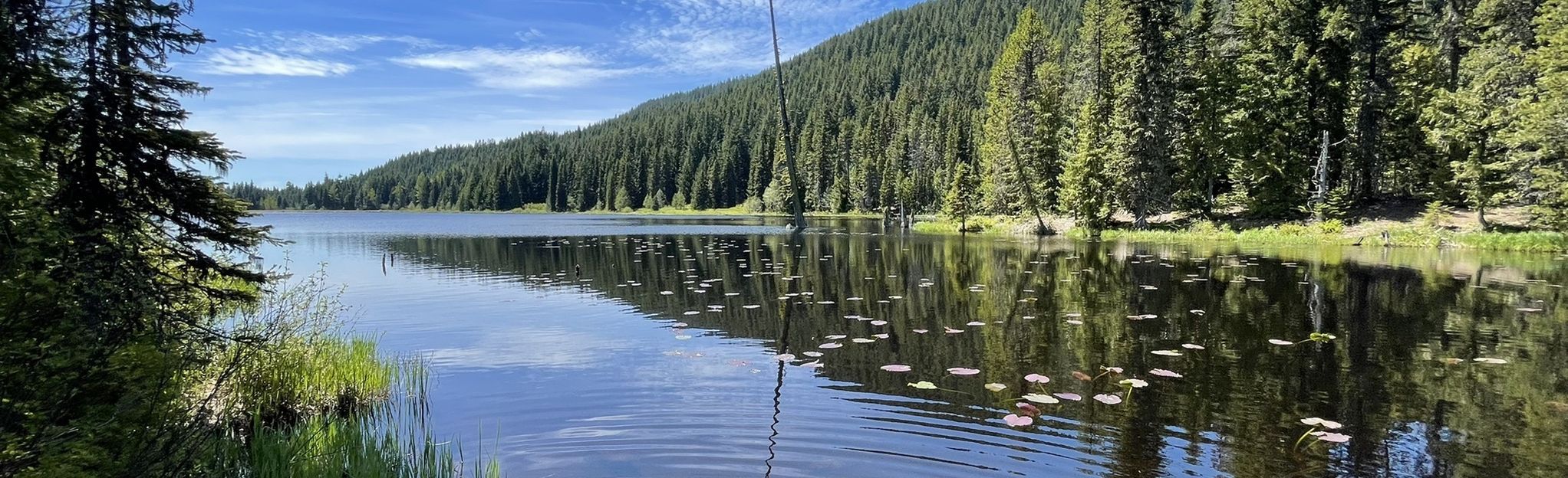 Trillium Lake Loop Trail: 2,101 Reviews, Map - Oregon | AllTrails