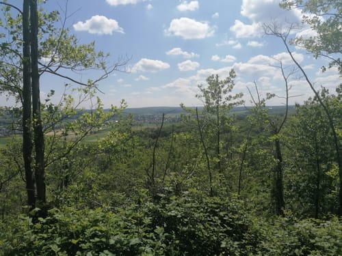 Durch den Eschweiler Wald auf den Schwarzen Berg