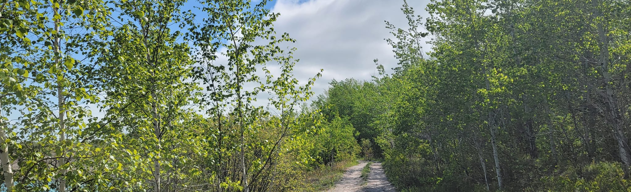 Steep Rock Quarry short loop, Manitoba, Canada 5 Reviews, Map AllTrails
