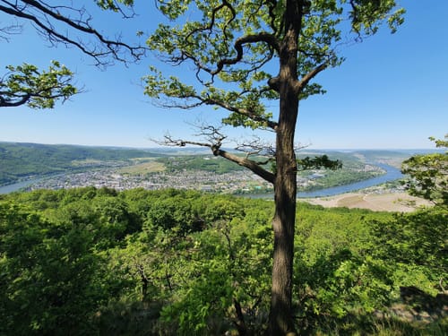 Moselsteig Etappe 11: Bernkastel-Kues - Ürzig