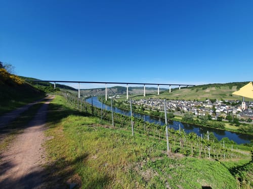 Moselsteig Etappe 11: Bernkastel-Kues - Ürzig