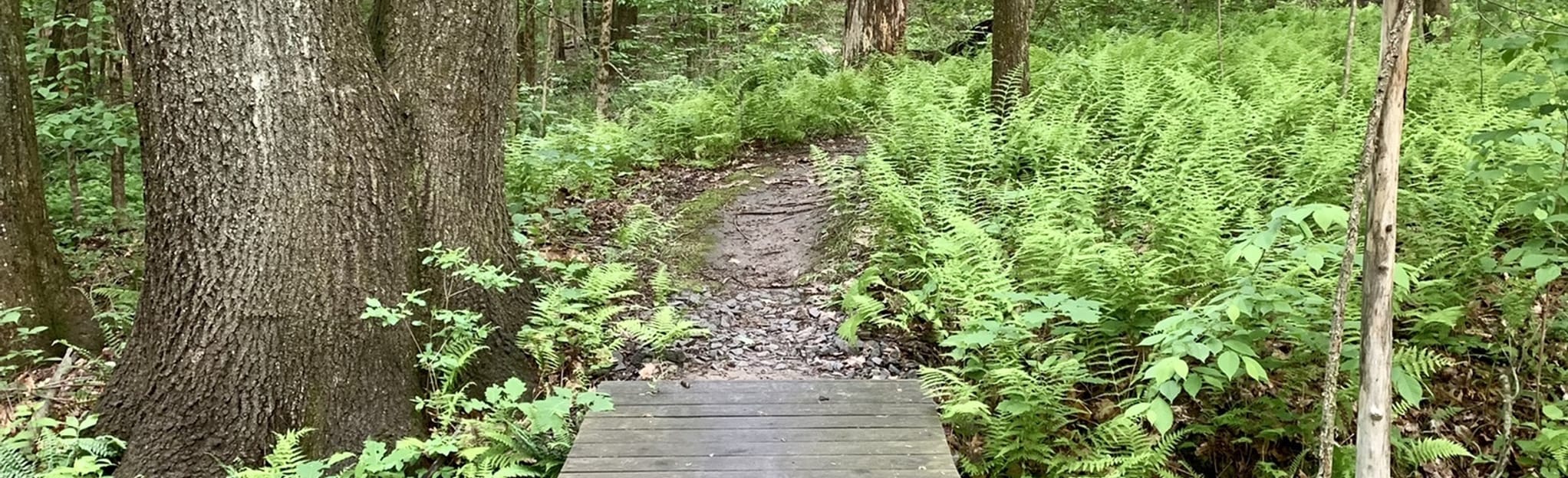 Rye Street Park Loop, Connecticut 76 Reviews, Map AllTrails