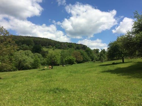 Aschaffenburg 3 : Gailbach – Marmor, Stein und Spessartit