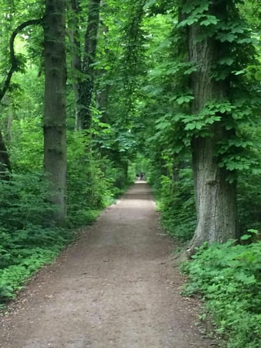 Rundwanderweg Riedstadt Erfelder Fußgängerbrücke 2: Nachtigallenweg