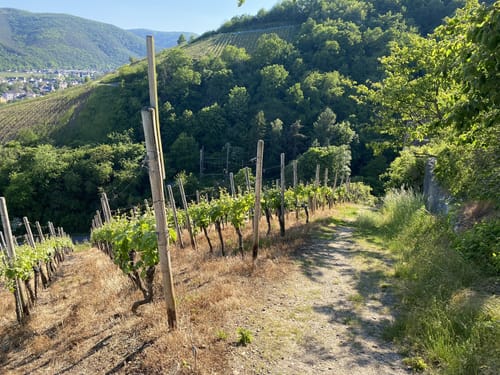 Spaziergang in Ahrweiler