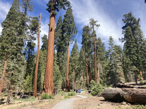 Sequoia national hotsell forest hiking map