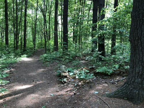 Pokagon state 2025 park hiking