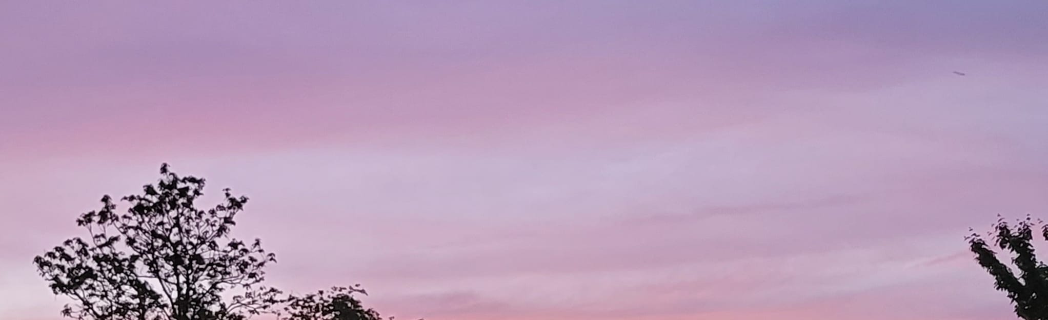 Beaver Meadow Walkway 77 Reviews, Map Pennsylvania AllTrails